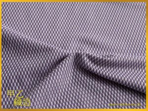 cdnet0003_s_img_3887