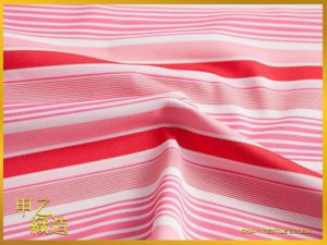 inout0022_s_img_3795